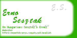 erno sesztak business card